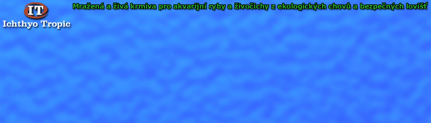 Slide background